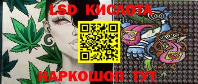 PSILOCYBIN Тверь
